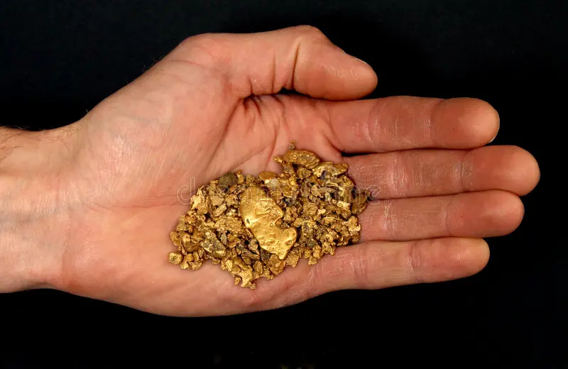 The Modern Gold Prospector 